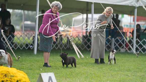 20230929-DSC03763