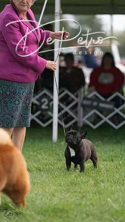 20230929-DSC03784