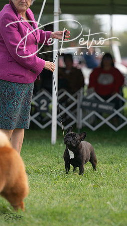20230929-DSC03785