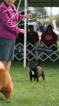 20230929-DSC03786
