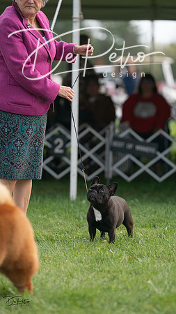 20230929-DSC03789