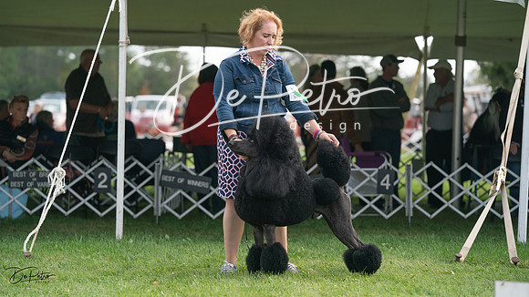 20230929-DSC03792