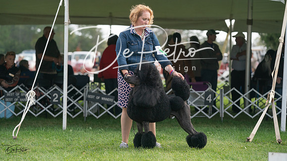 20230929-DSC03793