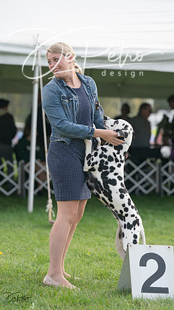 20230929-DSC03803
