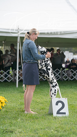 20230929-DSC03819