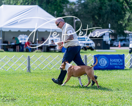 20240630-DSC03491