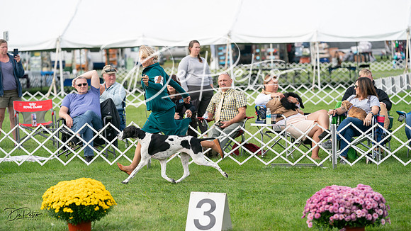 20230929-DSC03871