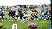 20230929-DSC03866