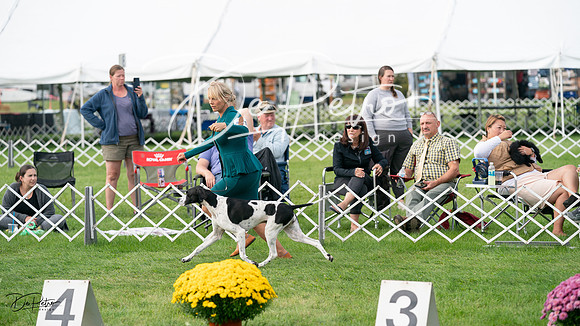 20230929-DSC03875