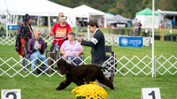 20230929-DSC03879
