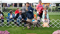 20230929-DSC03896