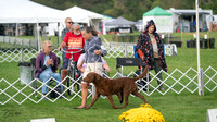 20230929-DSC03915