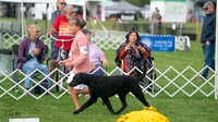 20230929-DSC03932
