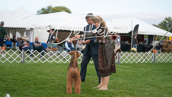 20230929-DSC05198