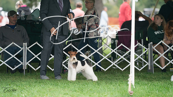 20230929-DSC05276