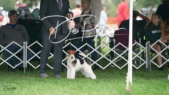 20230929-DSC05277