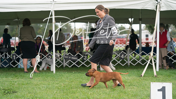 20230929-DSC05306