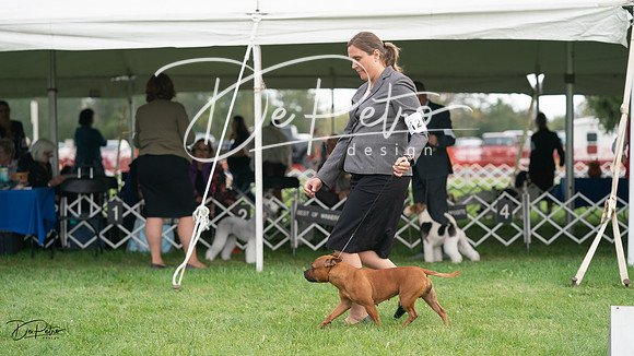 20230929-DSC05310