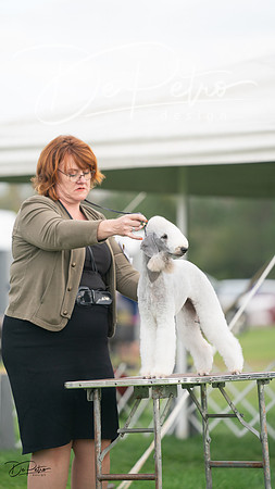 20230929-DSC05356