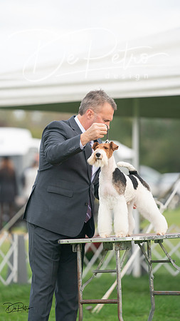 20230929-DSC05367