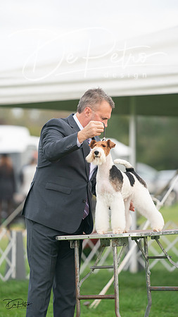 20230929-DSC05368