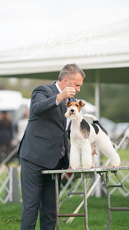 20230929-DSC05371
