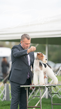 20230929-DSC05372