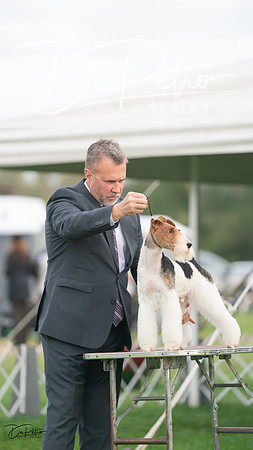 20230929-DSC05374