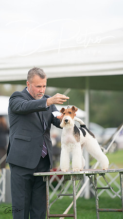20230929-DSC05384