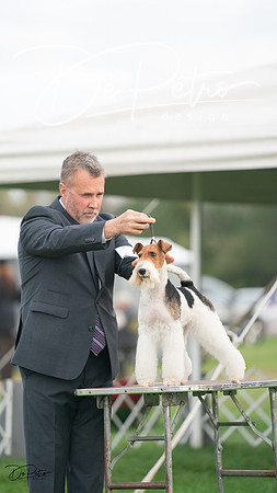 20230929-DSC05385