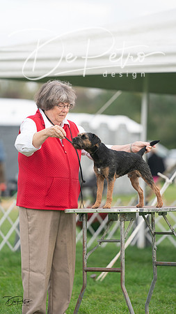20230929-DSC05416