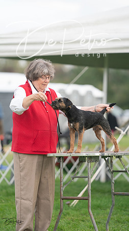 20230929-DSC05418