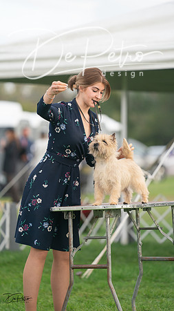 20230929-DSC05477