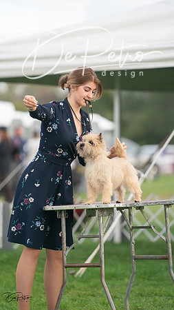 20230929-DSC05479