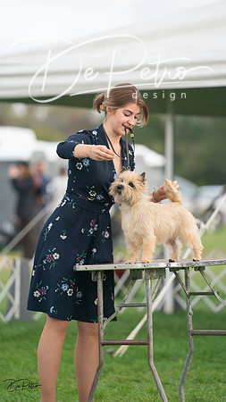 20230929-DSC05493