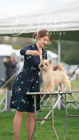 20230929-DSC05494