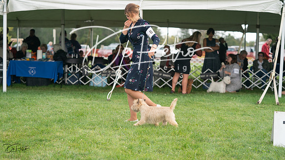 20230929-DSC05504