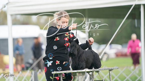 20230929-DSC05531