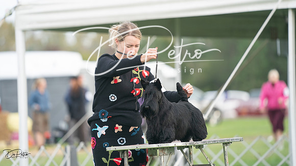20230929-DSC05532