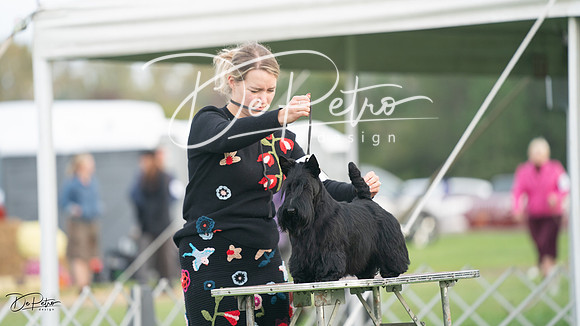 20230929-DSC05533