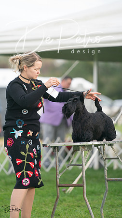 20230929-DSC05534