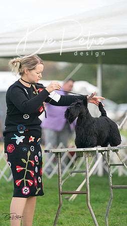 20230929-DSC05535