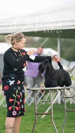 20230929-DSC05536