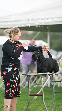 20230929-DSC05537