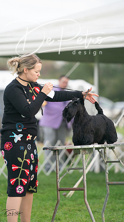20230929-DSC05538