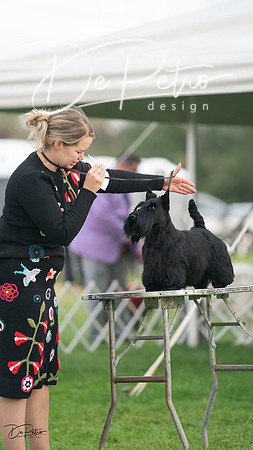 20230929-DSC05539