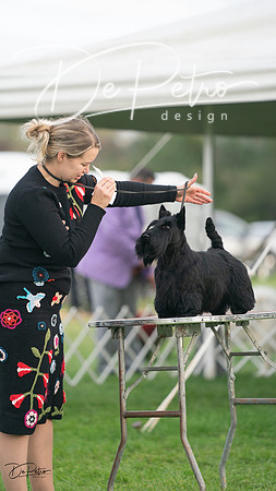 20230929-DSC05540