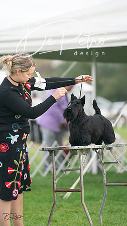 20230929-DSC05542