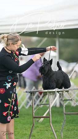 20230929-DSC05543