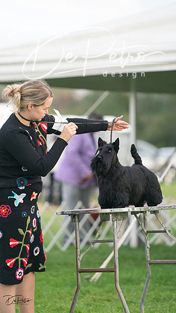20230929-DSC05546